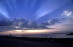 FISHERMAN-MARTHA'S VINEYARD