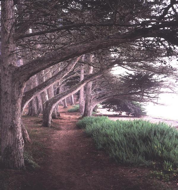 MORRO BAY