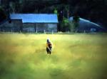 FARMER-SUN VALLEY