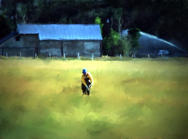 FARMER-SUN VALLEY