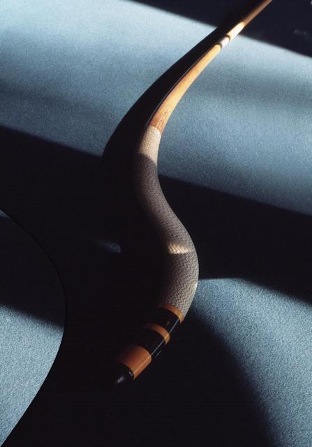 POOL CUE SNAKE