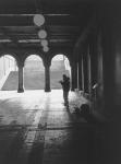 Flutist-Central Park