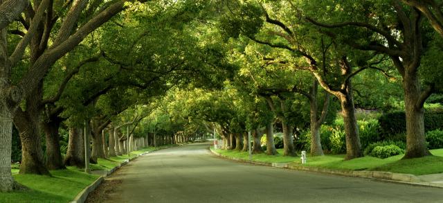 MAPLE DR-Beverly Hills