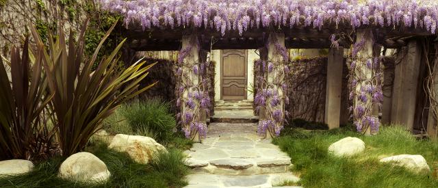 WISTERIA-BEVERLY HILLS