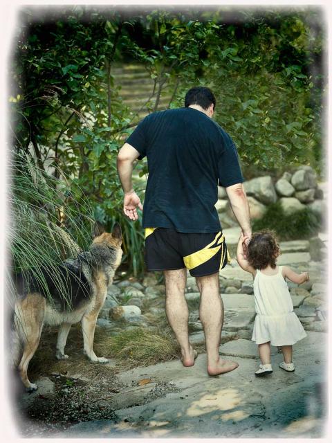 INTO THE ENCHANTED FOREST